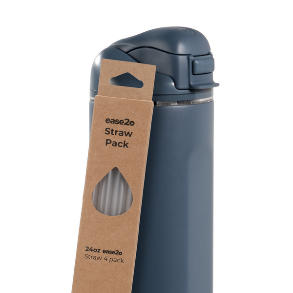 Ease2o Straws 4 Pack 24oz G4