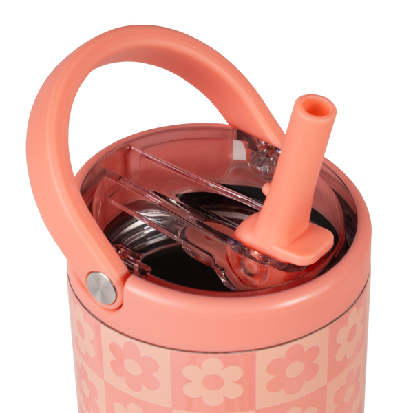 Daisy Checkers H6